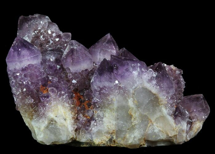 Cactus Quartz (Amethyst) Crystal Cluster - South Africa #64247